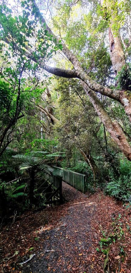 Kaka Point Spa Accommodation - Catlins Exterior foto